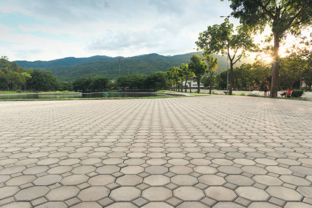 Best Residential Paver Driveway  in Lwa, CA